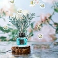thumbnail image 1 of The Aromatherapy, Flower Diffuser for Home Decor - 50ml Glass Oil Diffuser Long Lasting Bathroom Fresheners Diffuser for Bathroom Decor Perfume, 1 of 9