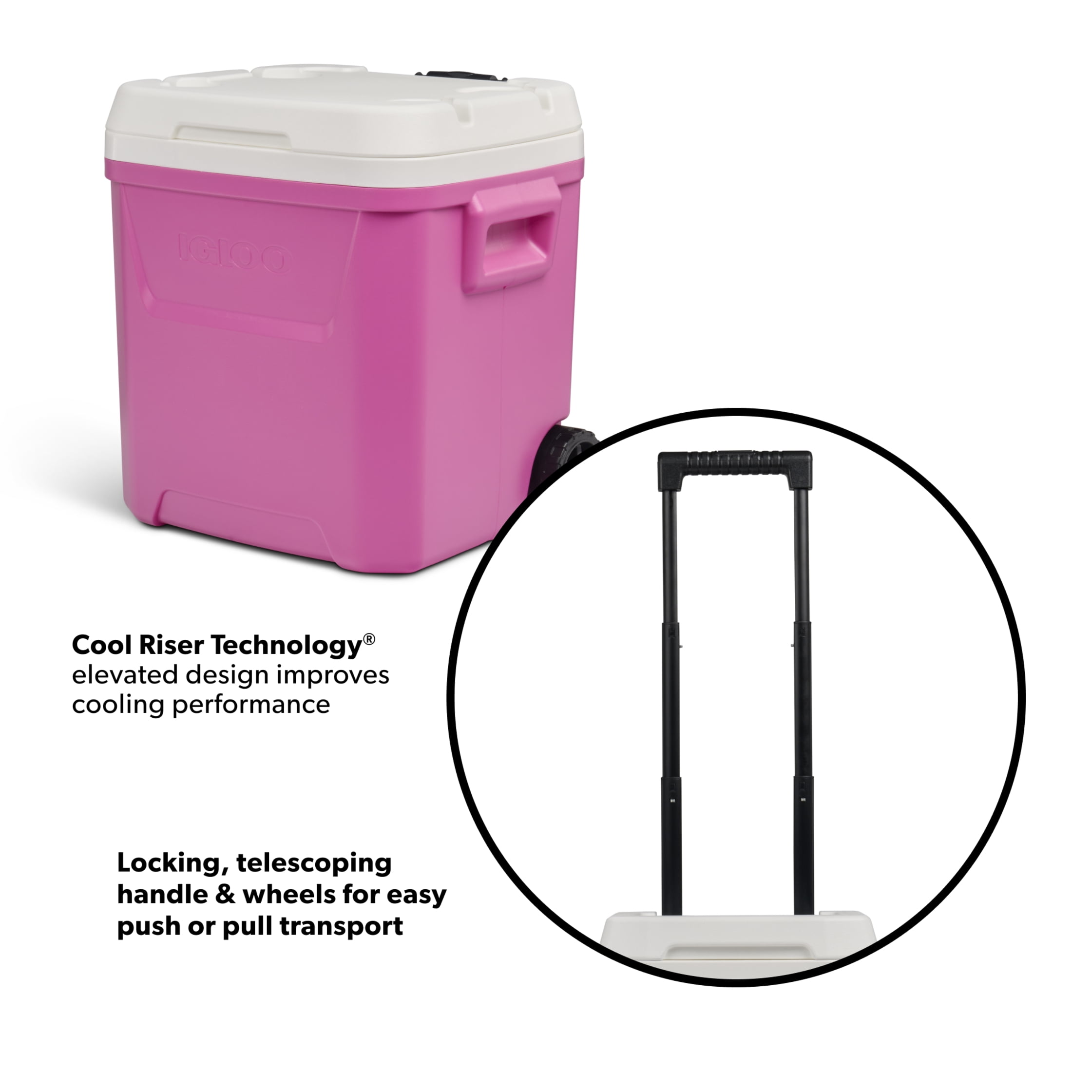 Igloo 60 QT Laguna Ice Chest Cooler with Wheels, Pink
