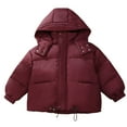 thumbnail image 2 of Favoffer Boys Girls Velvet Down Jacket Winter Warm Hooded Solid Color Long Sleeve with Pockets Thickened Outerwear for Daily/Party/Holiday Toddler 2-13Y, 2 of 3