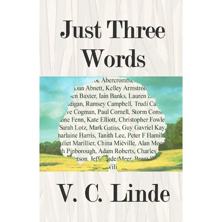 Just the Facts! Workbook Just the Facts! Workbook: Lessons in Mathematics for the Dyslexic Student & Visual Learner (3rd Grade), Book 3, (Paperback)
