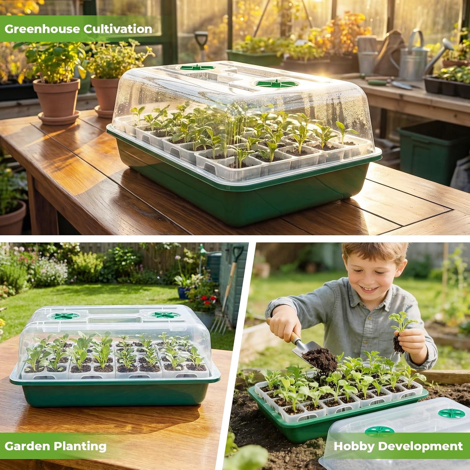 40 Cell Seed Starter Tray Kits, Reusable Plant Germination Trays, Easy Transplanting, with Humidity Domes and Bases, for Starting Vegetable, Flower & Herb Seeds, Indoor Gardening, Greenhouse