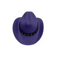 thumbnail image 2 of Dog Cowboy Hat | Purple Western Felt Star Band Pet Accessory | Outdoor Pet Hat for Photoshoots and Parties | Holiday Gift for Pet Owners and Pet Lovers, 2 of 8