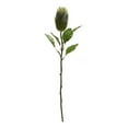 thumbnail image 4 of Melrose Artificial Protea Floral Stem Spray - 26.5" - Set of 6, 4 of 4