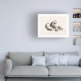 thumbnail image 2 of Trademark Fine Art Pictufy Shitake Mushroom Canvas Wall Art, 2 of 4