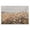 Quaint Cottage Meadow Wildflowers, variant on Stupell Industries Traditional Daisy Clusters in Field Black Framed Print Under Glass, 20 x 14, by Jacky Ngan