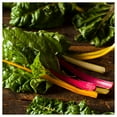 thumbnail image 3 of Everwilde Farms - 1 lb Rainbow Swiss Chard Seeds - Gold Vault Bulk Seed Packet, 3 of 3
