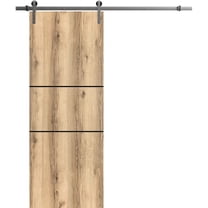 Sturdy Barn Door 42 x 80 inches | Planum 0014 Oak with Frosted Glass | Stainless Steel 8FT Rail Hangers Heavy Set | Solid Panel Interior Doors