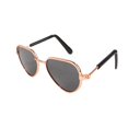 thumbnail image 1 of Gafas De Sombra Para Perros Y Gatos, Accesorios Para Mascotas, Gafas Polarizadas De Plástico Para Mascotas A Prueba De Sol Advancent PT002700-06, 1 of 6
