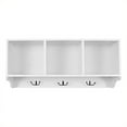 thumbnail image 1 of Safavieh David Poplar Wood Shelf in White, 1 of 1