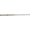 Shakespeare Ugly Stik Intercoastal Casting Rod