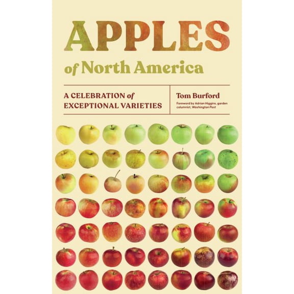 Pre-Owned Apples of North America : A Celebration of Exceptional Varieties (Paperback)