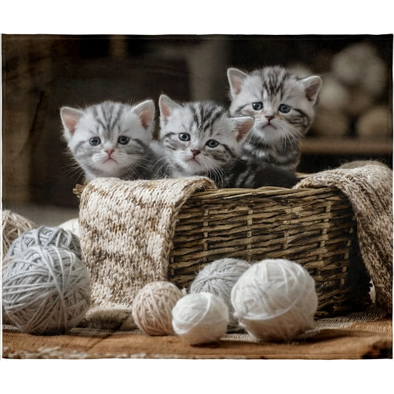 Kitten Love Kitty Blanket Super Soft Silk Touch Plush Fleece Throw 50" X 60"