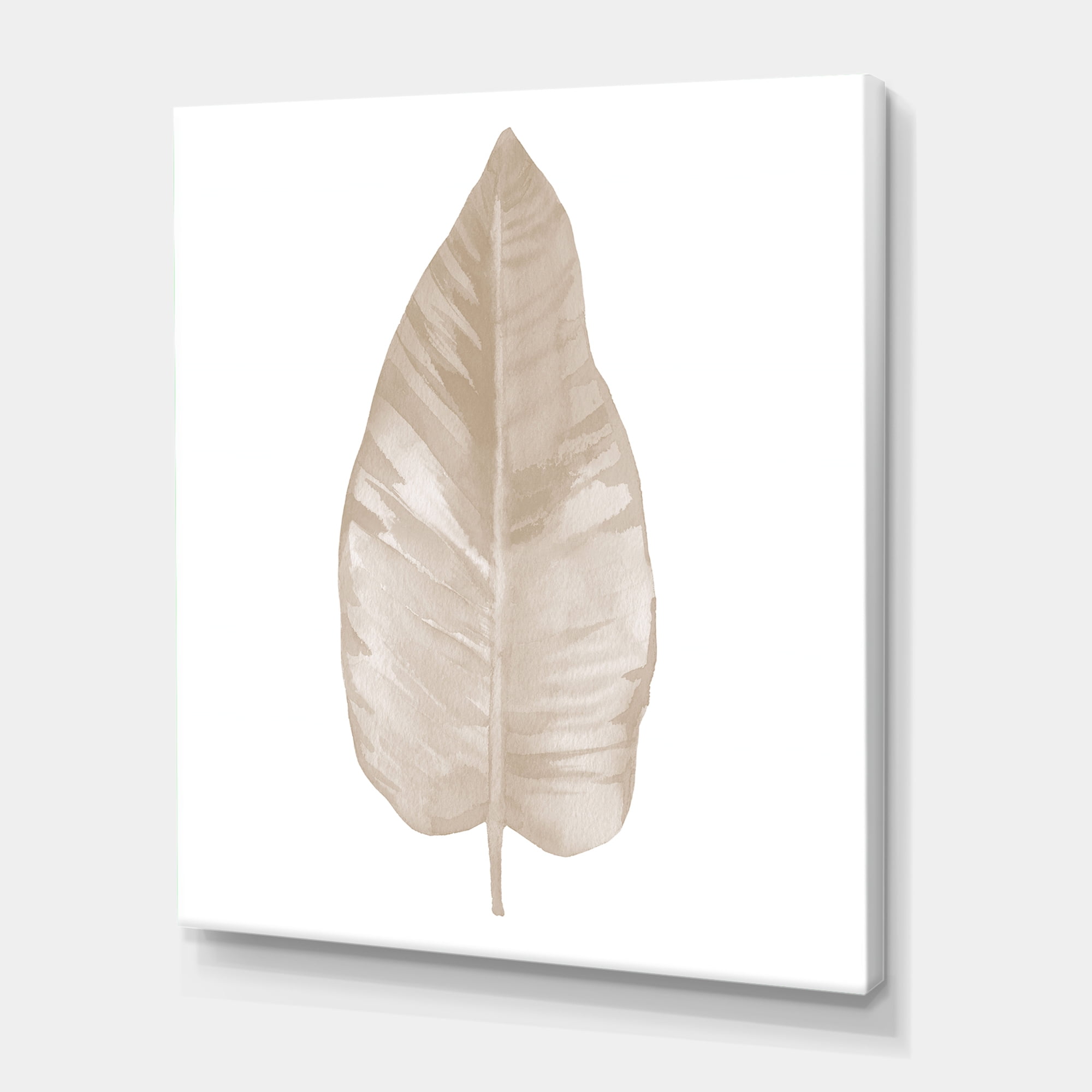 Designart ' Dried Leaf Plant Beige On White Background ' Traditional Canvas Wall Art Print