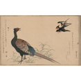 thumbnail image 3 of Unknown 18x13 Black Modern Framed Museum Art Print Titled - Pheasant, 3 of 5
