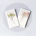 thumbnail image 4 of 12pcs Teachers' Day Gift Valentine's Day Dried Flower Greeting Cards (Random Style), 4 of 8