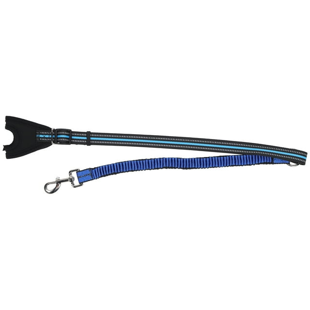 Reflective Traction Rope, Firm And Durable Large Carrying Capacity Dog Walking Leash Comfortable With Reflective For Medium Size Dogs Green,Blue
