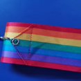 thumbnail image 3 of 2X Ribbon Dance Rainbow Ribbon Children'S Dance Gymnastics Rhythm Stick Colorful Gymnastics Ribbon Sporting Goods (2M), 3 of 4