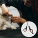 thumbnail image 2 of 1 Pc Cortauñas Duradero para Mascotas para Perro y Gato 4.72"x2.36" Rojo Negro, 2 of 6