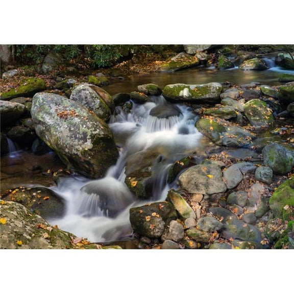 Stream Flowing Through Rocks in A Forest Roaring Fork Motor Nature Trail Great Smoky Mountains National Park Tennessee USA Poster Print - 24 x 36 - Large