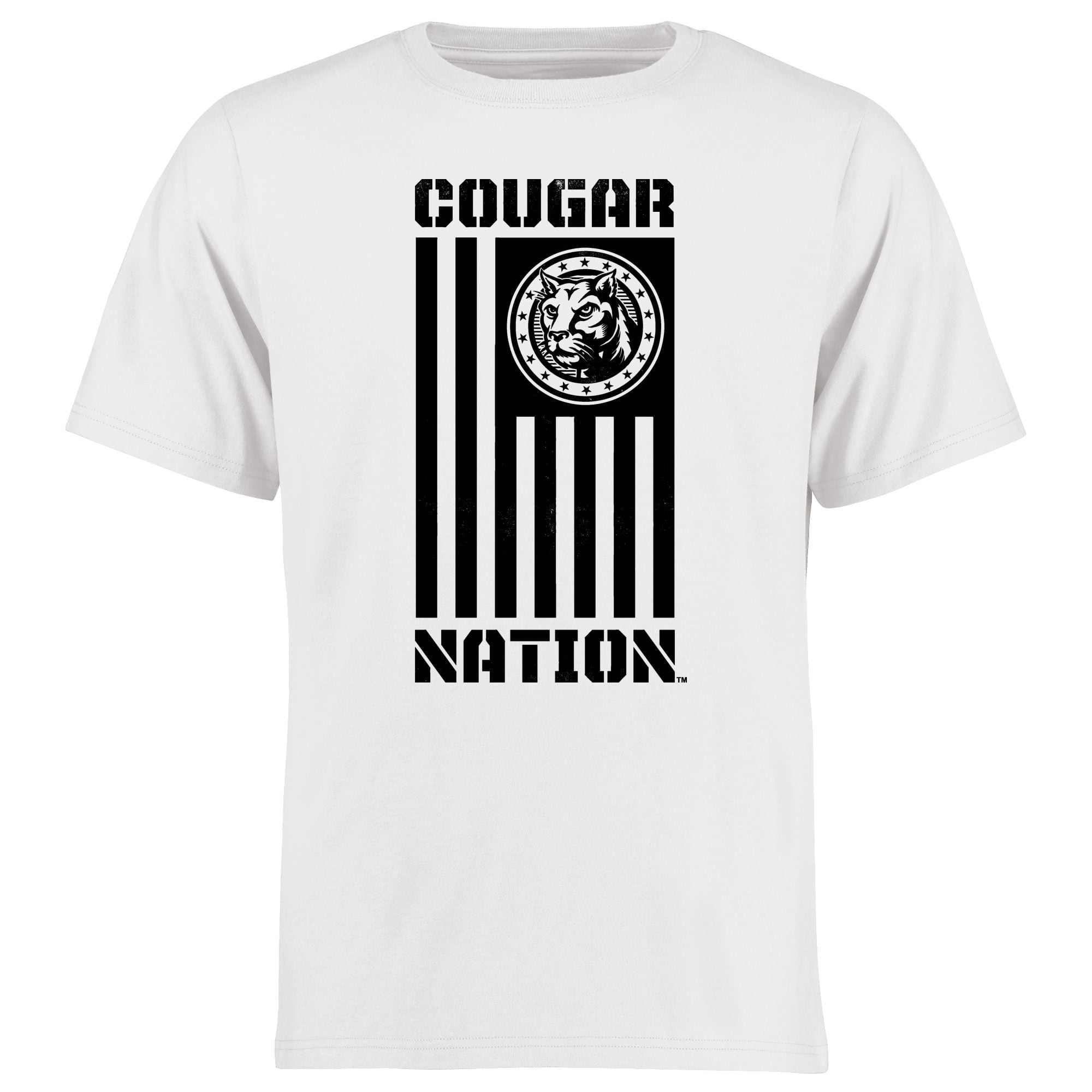 Charleston Cougars Alternate Logo 