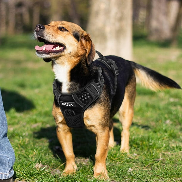 Design 2024 dog harness