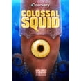 thumbnail image 3 of Colossal Squid (Widescreen), 3 of 3
