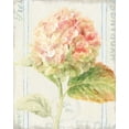 thumbnail image 2 of Nai, Danhui 20x24 Gold Ornate Wood Framed with Double Matting Museum Art Print Titled - Floursack Florals VI, 2 of 4