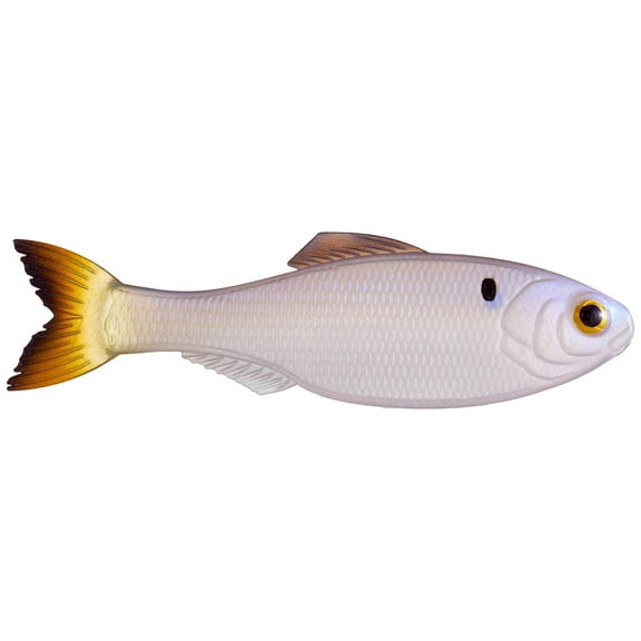 6th Sense Panorama 2.0 Soft Swimbait – Bass & Crappie Fishing Lure | Ultra-Realistic Finesse Forage Imitator for Hover Rigs, Drop Shots, and Panfish