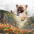 thumbnail image 3 of Pofeuu Butterflies In Flower Field Print Puppy Blanket,Dog Blankets,Pet Blanket Cozy Cat Blankets for Indoor Cats, Fuzzy Pet Blanket for Kitten Doggy Dog Blankets-Small, 3 of 8