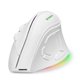 thumbnail image 1 of 2.4G Wireless Game Mouse Ergonomic Mouse with RGB Backlit 4000 DPI BT Dual Modes Rechargeable Mous, 1 of 5