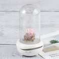 thumbnail image 1 of unbranded Difusor De Aroma USB Con Luz LED Multicolor Y Humidificador Para Y Oficina, 1 of 8