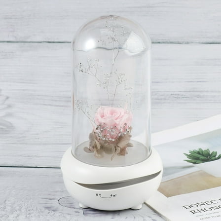 LEORX Small Essential Oil Diffuser Produces Mist LED Lighting Pink Rose 1Pack for Yoga and