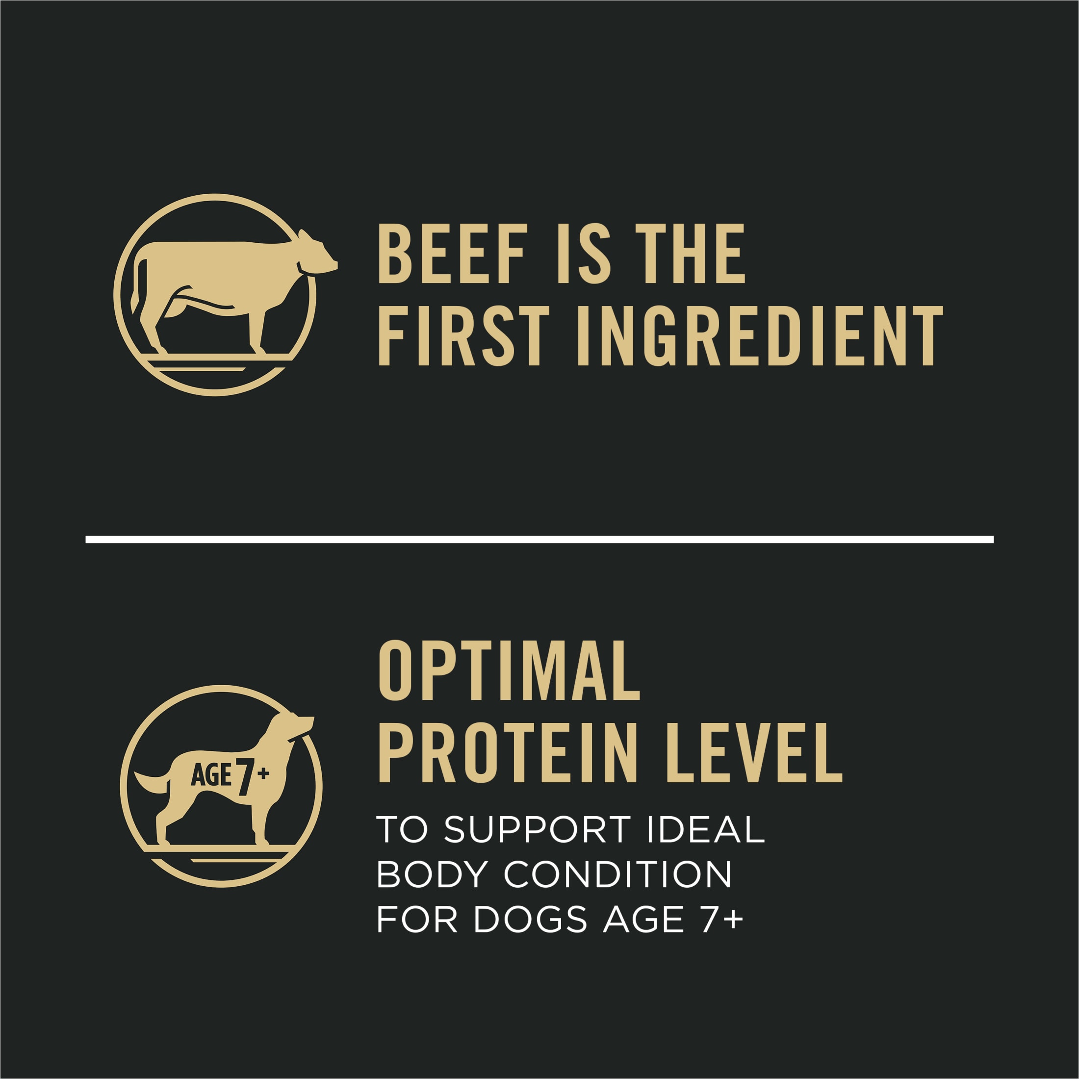 Purina Pro Plan Adult 7 Plus Senior Dogs Beef and Rice photo 8