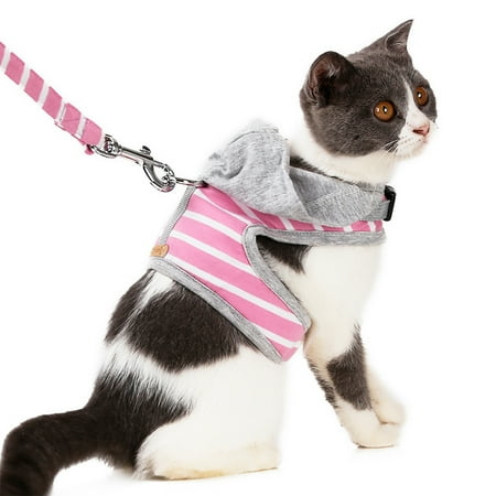do dog harnesses work on cats