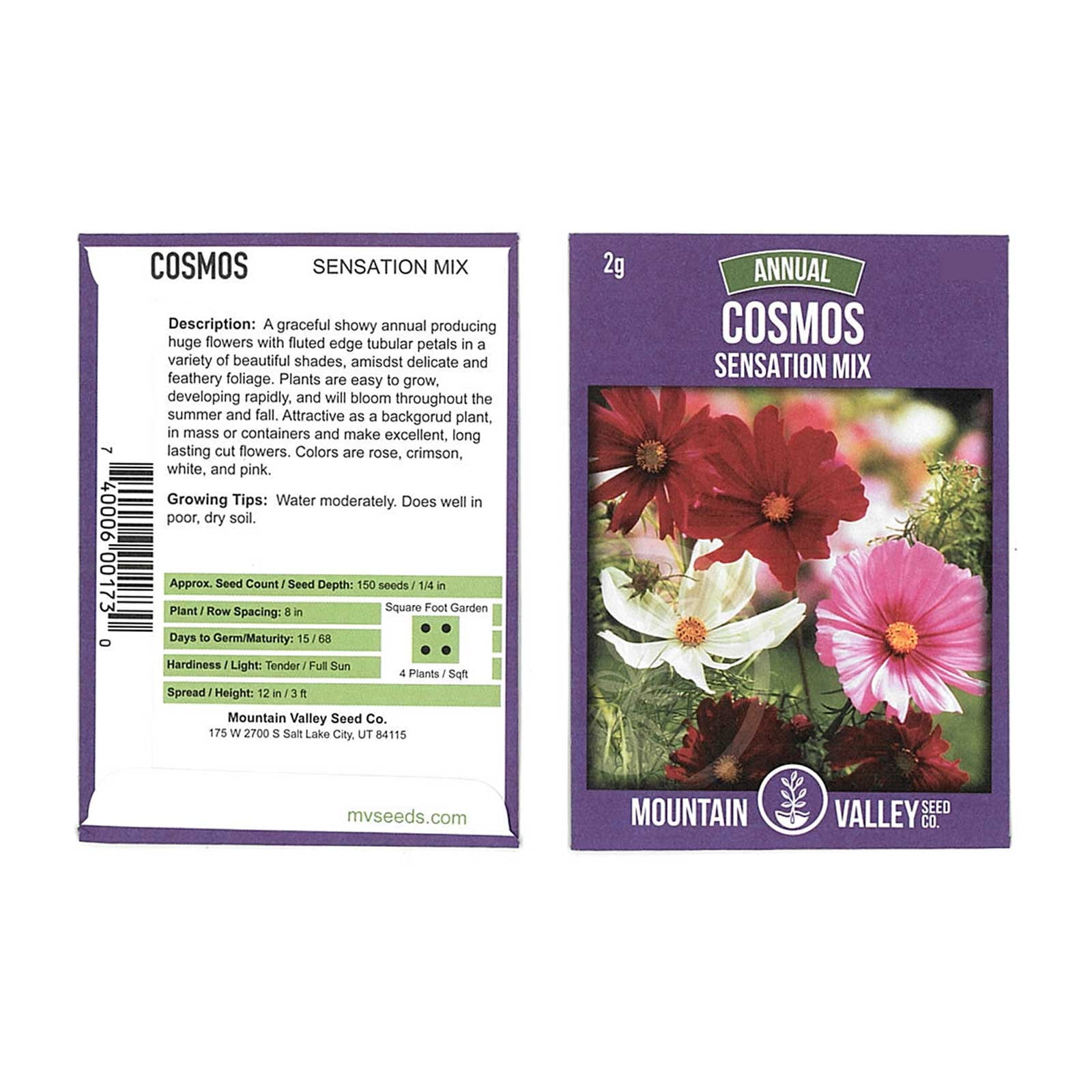 Details about   Carnation Common pink Mix Seeds organic non gmo Ukraine 0.3 g Gardener's dream 