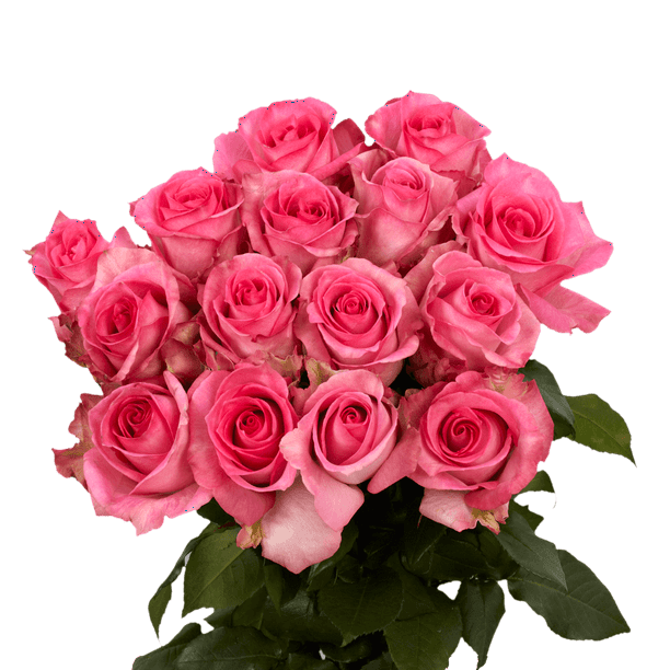 50 Stems of Priceless Roses- Fresh Flower Delivery - Walmart.com ...