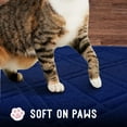 thumbnail image 4 of Downtown Pet Supply Non Slip and Washable Cat Litter Mat 35" x 42", Blue, 4 of 8