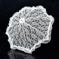 thumbnail image 5 of Mini Vintage Lace Umbrell, Small Wedding Umbrella - for Bride Wedding Gift Photo Props Kids Gift Red, 5 of 6
