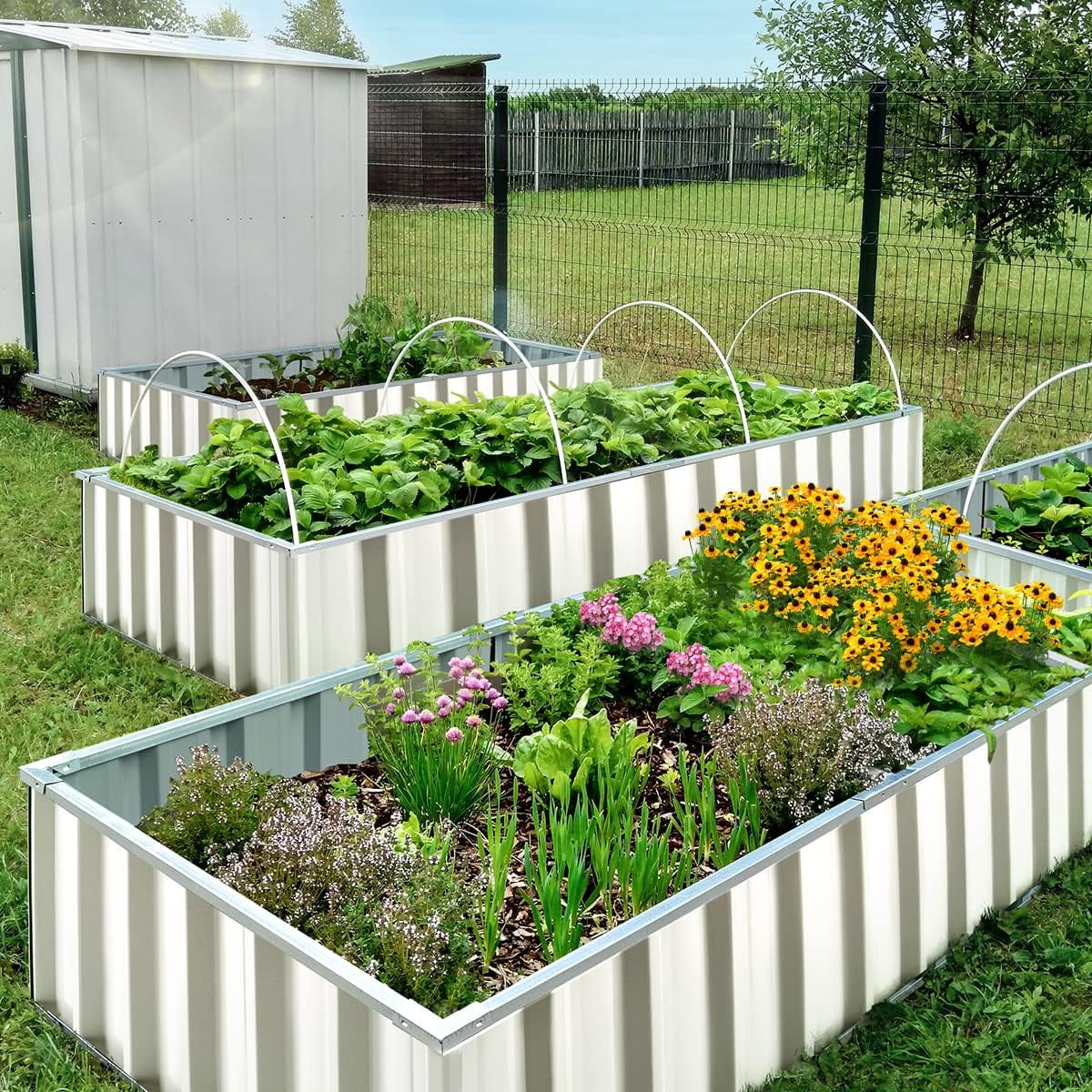 KING BIRD Raised Garden Bed 68''x36''x12'' x2 Packs, Galvanized Steel Metal Outdoor Planter Kit Box for Vegetables, Flowers, Fruits, Herbs, with 16pcs T-Type Tags & 2 Pairs of Gloves, Ivory