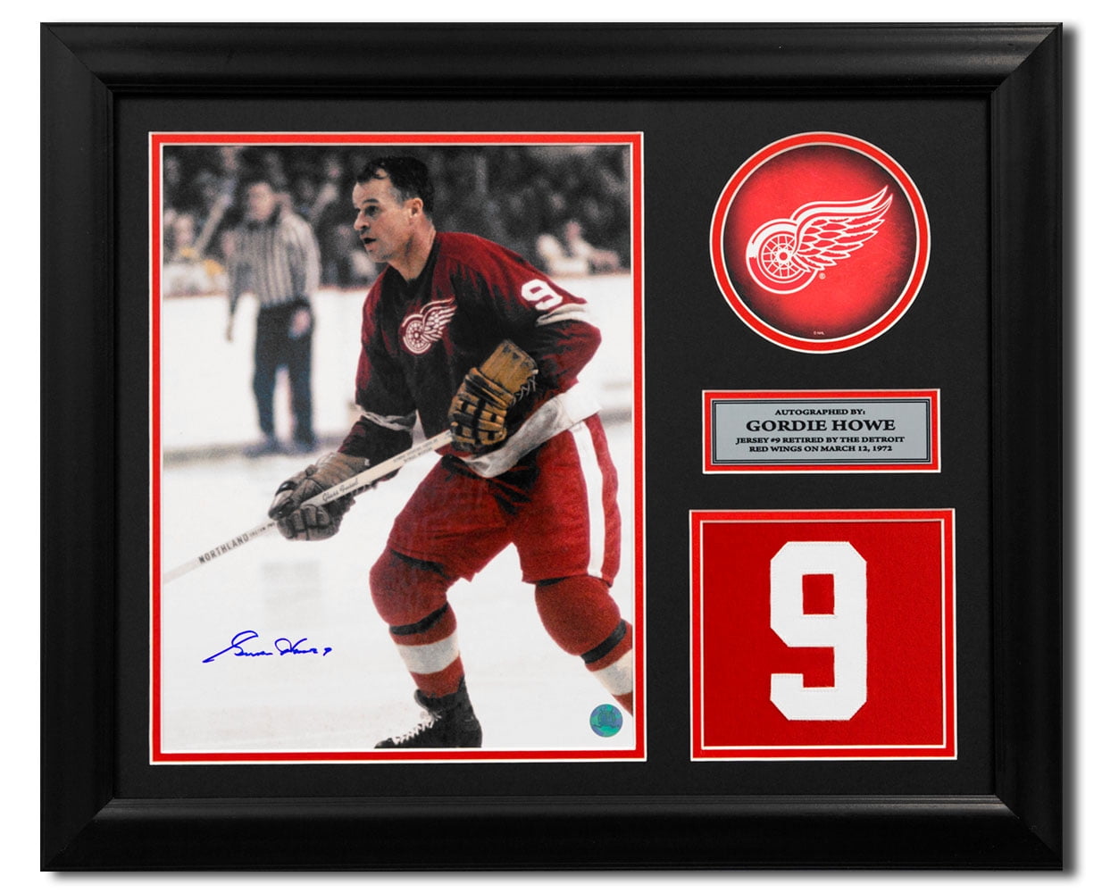 framed red wings jersey