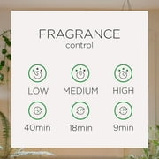 Air Wick Pure Automatic Air Freshener Spray Kit, Gadget+Refill, Ocean Breeze