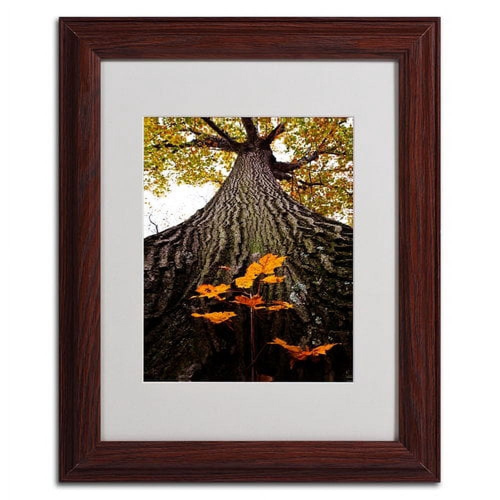 Trademark Fine Art "Mighty Maple and Sapling" by Kurt Shaffer, Wood Frame