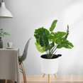 thumbnail image 3 of Pot de Fleurs Rond pour Plantes avec Trous de Drainage Jardinière de Sol Blanc G, 3 of 8