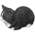 thumbnail image 1 of Estatua de gato durmiendo Hi-Line Gift Ltd., poliresina blanca y negra, 1 of 5