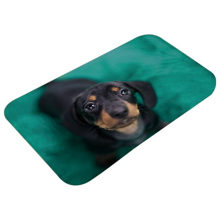

Njspdjh Outdoor Rug Fun Door Dog Mat Welcome Entrance Anti Slip Indoor Rubber Door Mat For Front Door/Bathroom/Garden/Kitchen