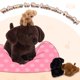 thumbnail image 5 of Set de Peluches Labrador Chocolate Mamá Labrador con 3 Cachorros, 5 of 9