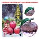 thumbnail image 1 of Estatua Pisapapeles de manzana de cristal - Estatua hecha a mano Decoraciones para el hogar (Rosa 4 cm), 1 of 5