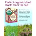 Adanim Bio Eucalyptus Thyme & Mullein Leaf Tea Bags Organic Gourmet