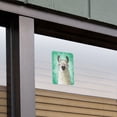 thumbnail image 5 of Hip Llama with Glasses Home Business Office Sign, 5 of 6
