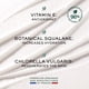thumbnail image 4 of Crema Nuxe Merveillance Lift, suavizante y reafirmante, 50 ml, vegana, 4 of 7